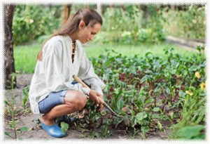 Building a Survival Garden