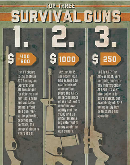 Top Three Survival Guns