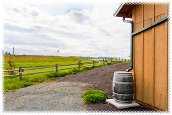 Sources of Water on the Homestead