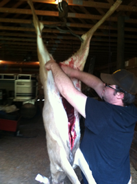 Skinning deer with Paracord and Knife