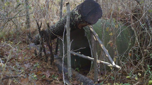 Survival Trapping – What and Where to Trap