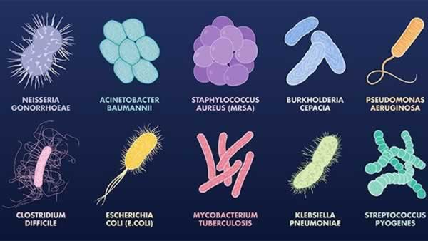 Pandemic: How to Survive a Pandemic