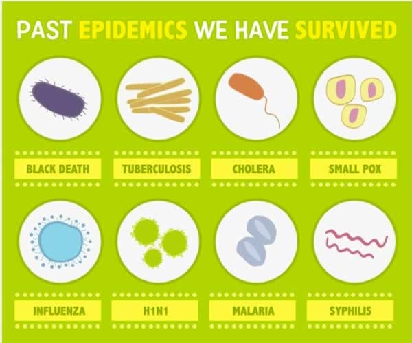 Pandemic: How to Survive a Pandemic