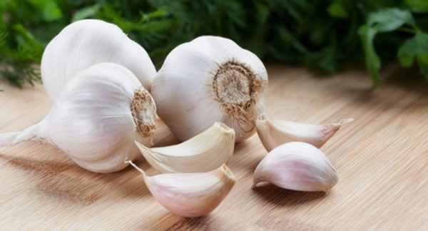 Medicinal Herbs to Grow - Garlic