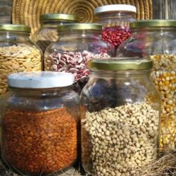 How to Choose the Best Survival Garden Seeds and Avoid Dangerous GMOs