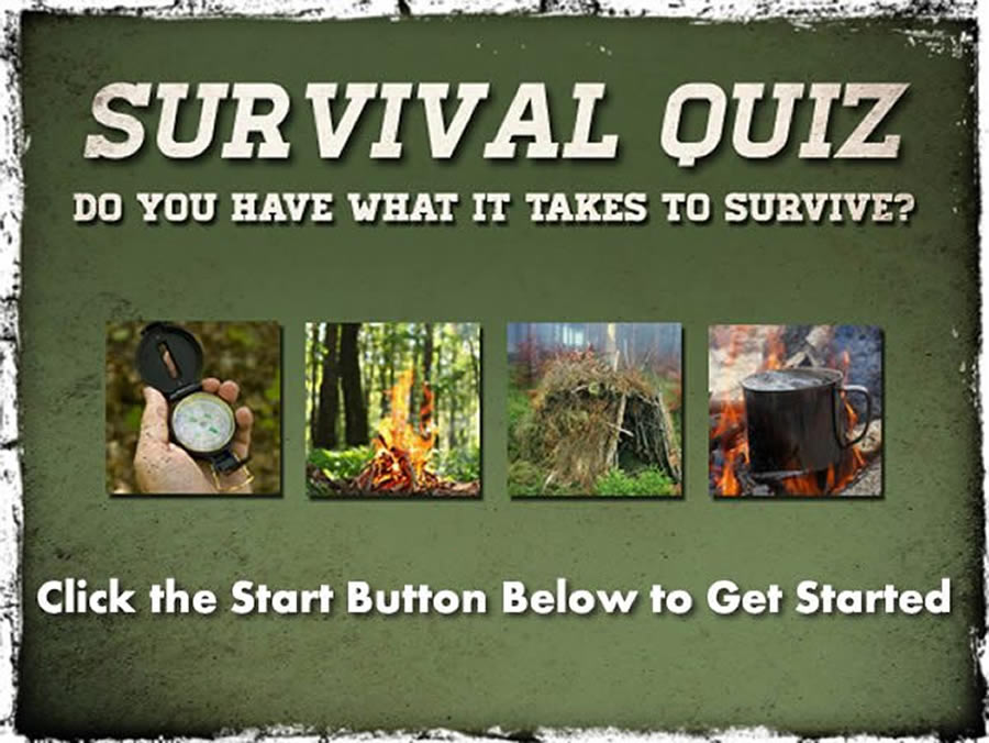 Survival quiz hot sale