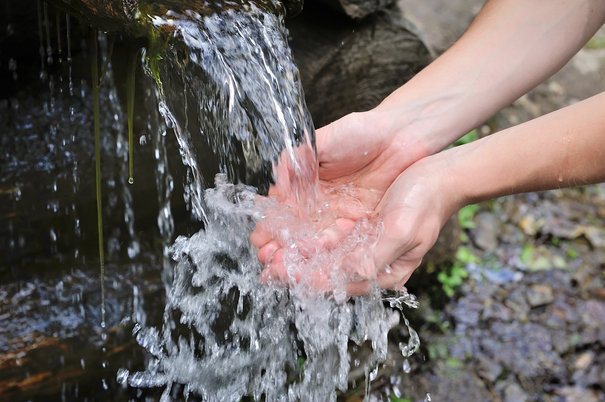 Sources of Water on the Homestead - Survivalist 101