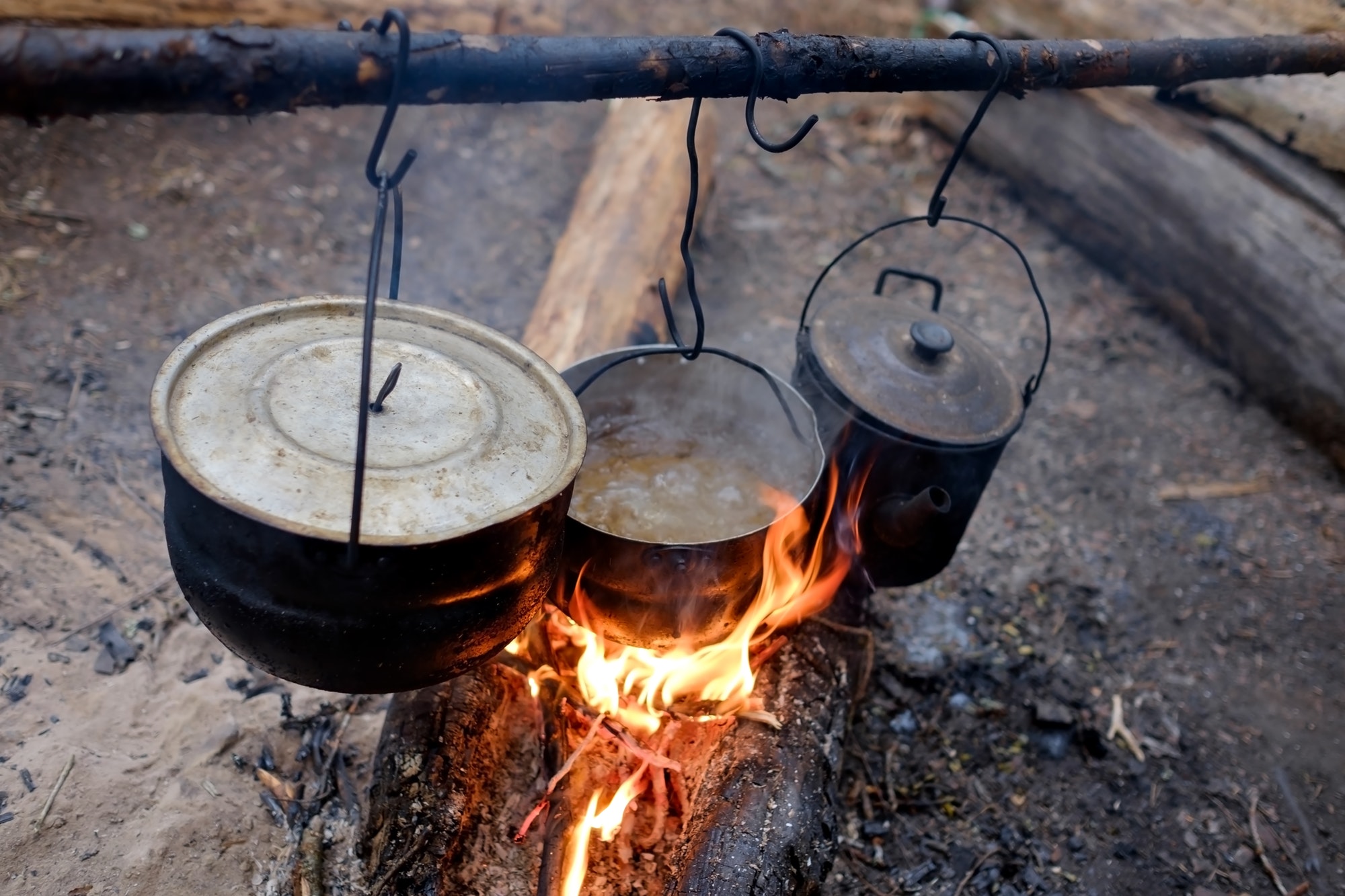 How to Cook Food Without Power - Survivalist Blog