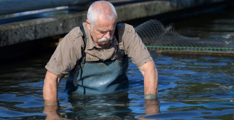 older guy in the water at caviar farm