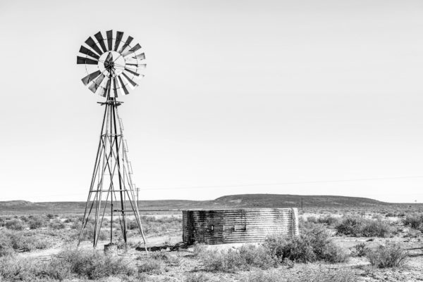 Rural monochrome Karoo scene