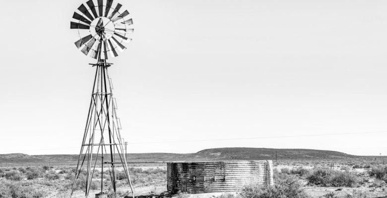 Rural monochrome Karoo scene